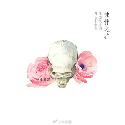 【蚀骨之花】气节，幻化成风，盛放，花开荼靡；陌路离殇，死生契阔 作者：木龙蕾