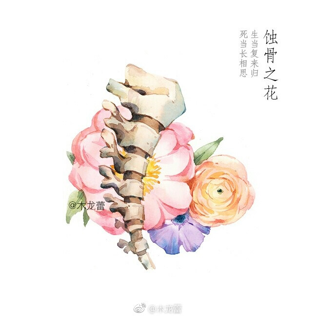 【蚀骨之花】气节，幻化成风，盛放，花开荼靡；陌路离殇，死生契阔 作者：木龙蕾