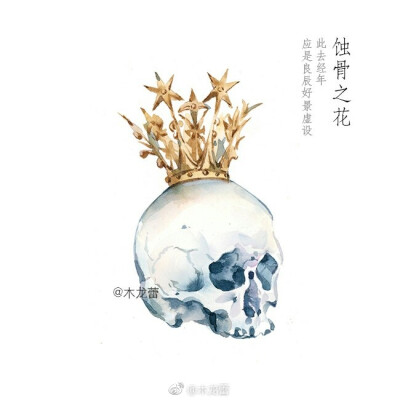 【蚀骨之花】气节，幻化成风，盛放，花开荼靡；陌路离殇，死生契阔 作者：木龙蕾