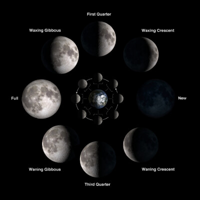 我们在地球上看到的月球，最吸引人的就是月相变化。每个月里从月亮从不被照亮变化到完全被照亮。
这一过程由八个明显的，自古以来就被广泛承认的阶段组成，这被称为月相。 这八个月相，从右到左，逆时针，分别是…