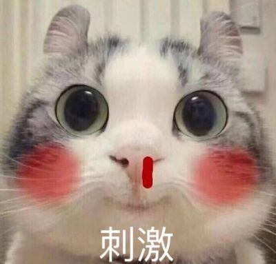 萌宠 表情包