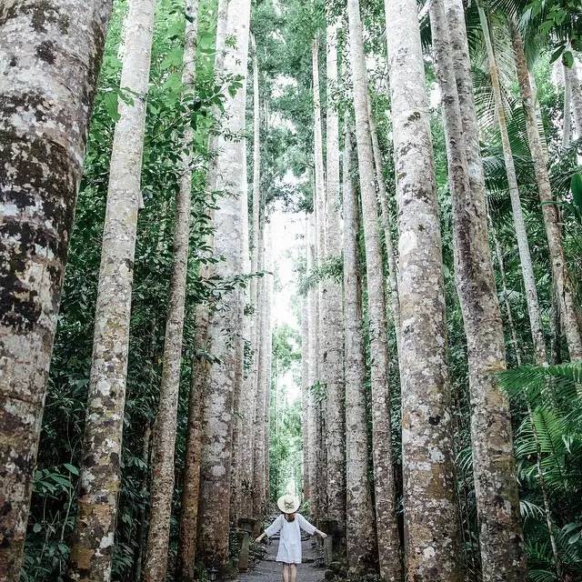 远景，简洁，亮点