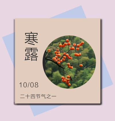 陈陈陈大锤 · 二十四节气——寒露