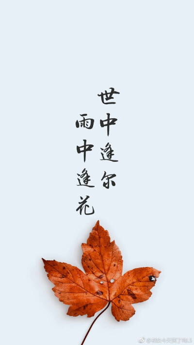 天官赐福 国债花怜 骨折双玄 血雨探花/花城 花三怂 太子谢怜 青鬼戚容 黑水沉舟 风师 水师 权一真 奇英殿下 引玉 请见图下角微博水印，努力保证是原创水印/世中逢尔，雨中逢花