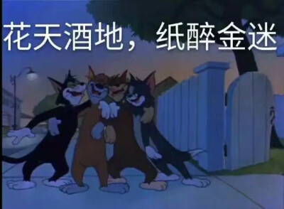 Tom and Jerry.在乖乖的妲己大人の怪怪头像这里.