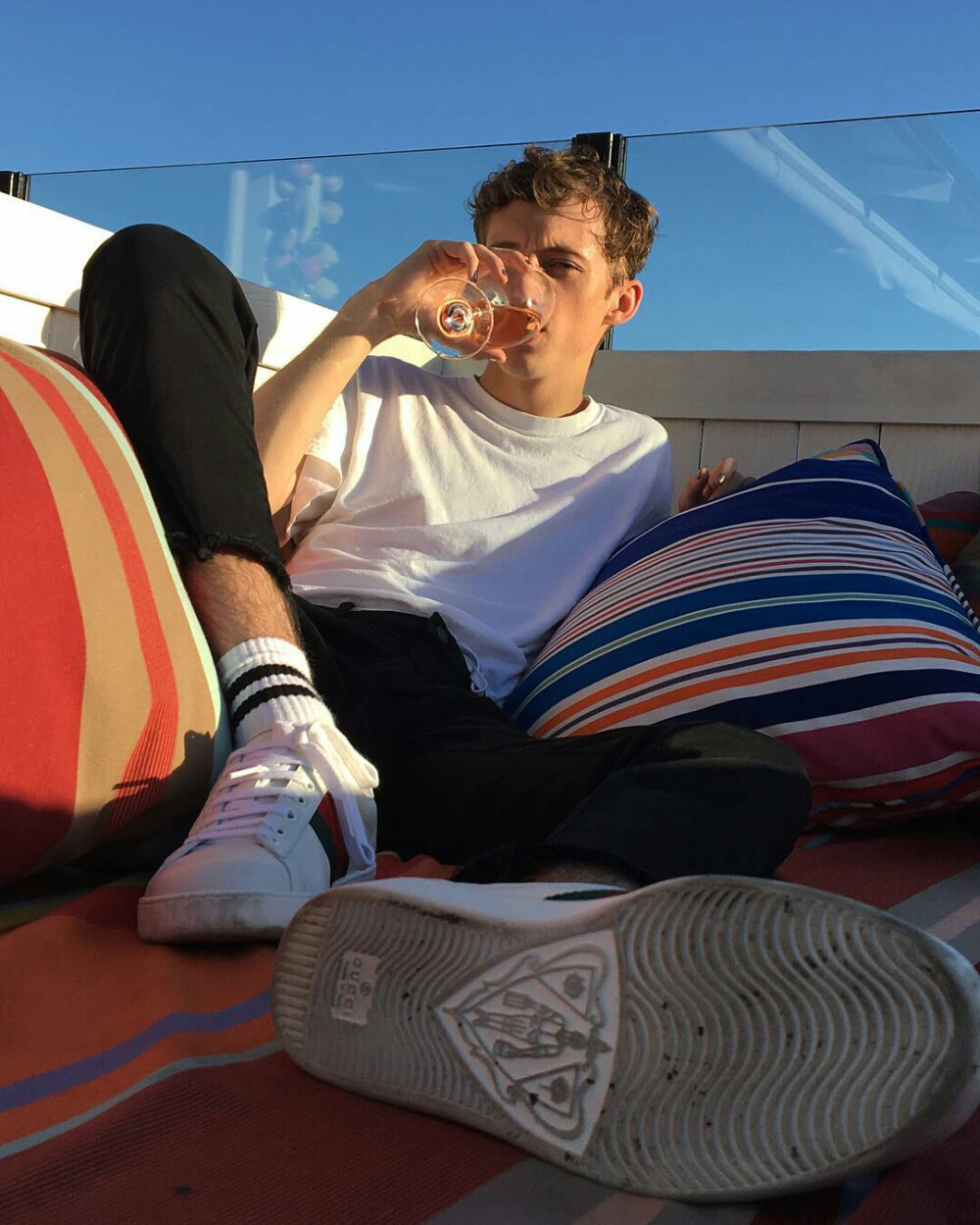 troyesivan
be sippin rosé u sip ur mistake my flow's a biscuit short of a picnic 