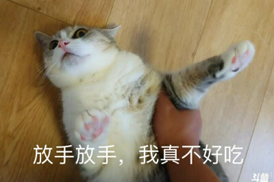 猴姬说 不要吃我 我不好吃呐