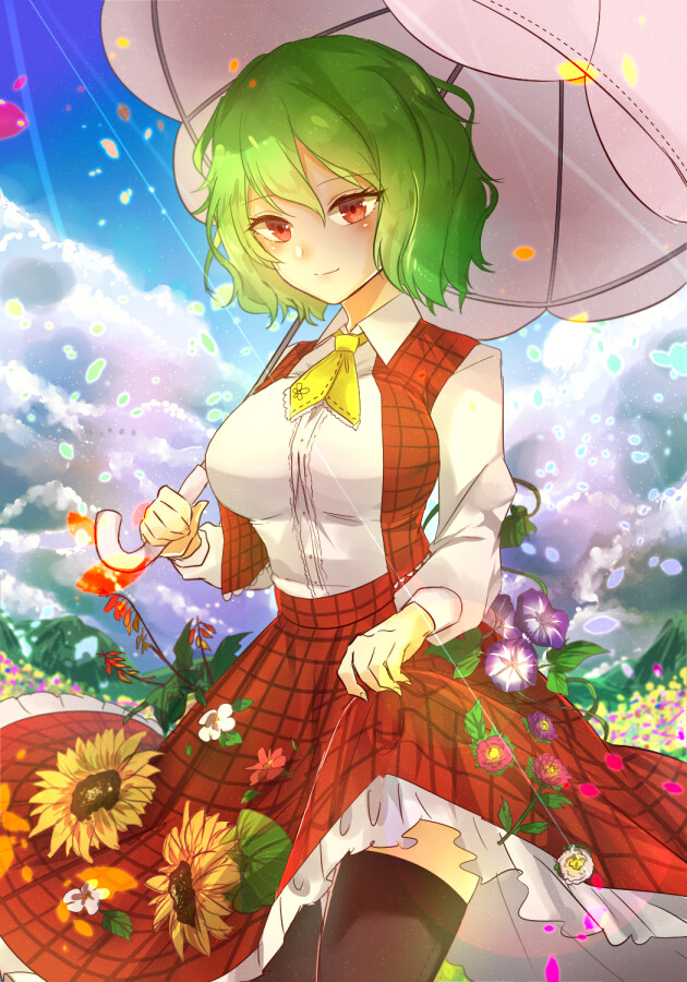 tags: anime, konnyaku (yuukachan_51), touhou