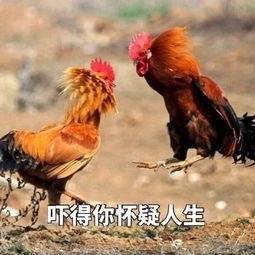 吓得你怀疑人生