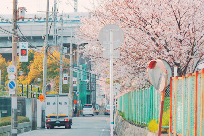 日本街道