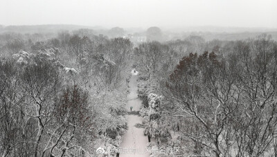 登灵谷塔远眺雪景