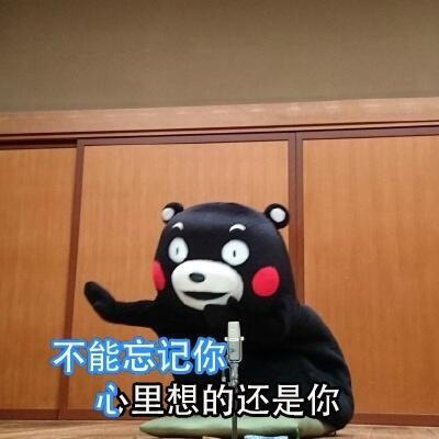 熊本熊 表情包 