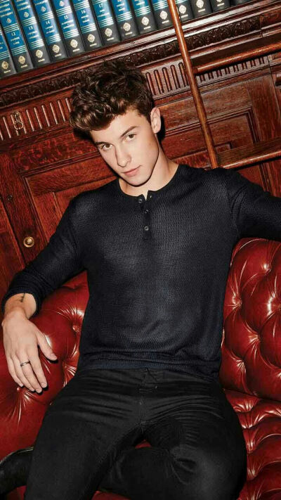 Shawn Mendes萌德