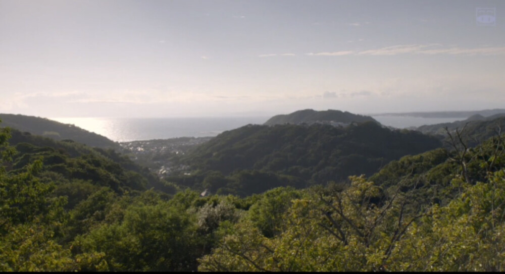 片寄凉太，土屋太凤《哥哥太爱我了怎么办》2017