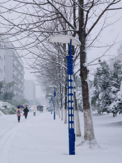 2018.1.5安财.雪