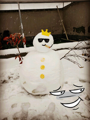 雪人⛄️