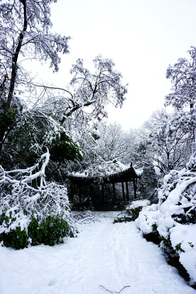 庐州雪