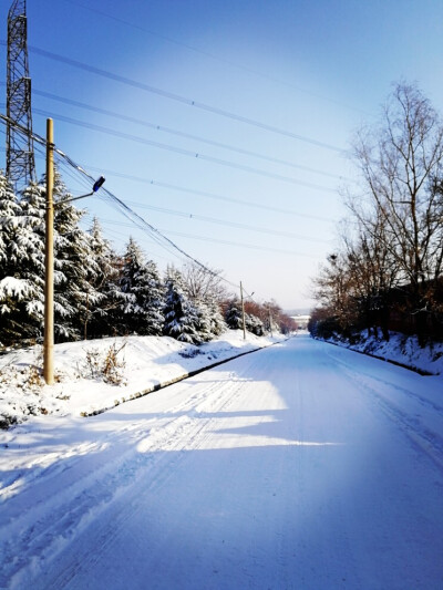雪景