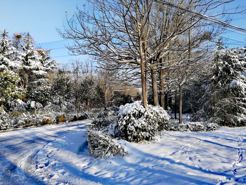 雪