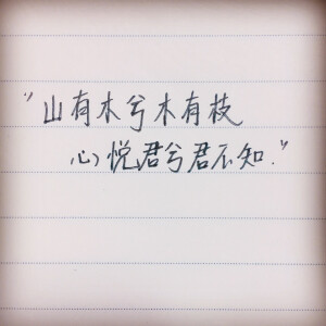“山有木兮木有枝 心悦君兮君不知”