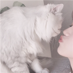 by:训乖 #情侣头像