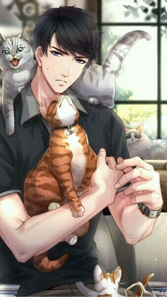 SR——李泽言·可爱的你（进化后）