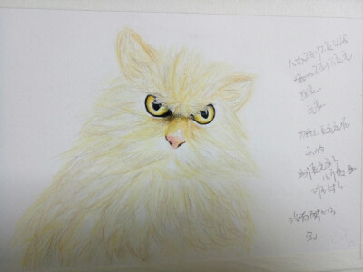 远看猫头鹰
近看猫头鹰
左看右看还是猫头鹰
