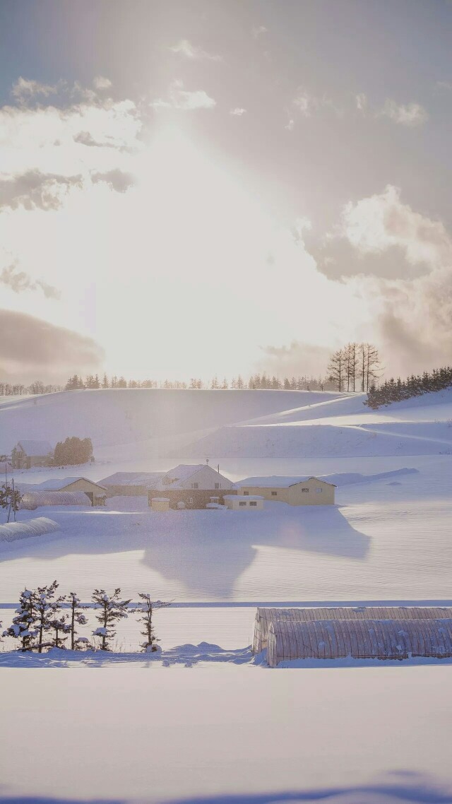 雪景壁纸，温暖寒冬