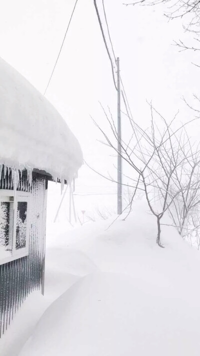 雪景壁纸，温暖寒冬