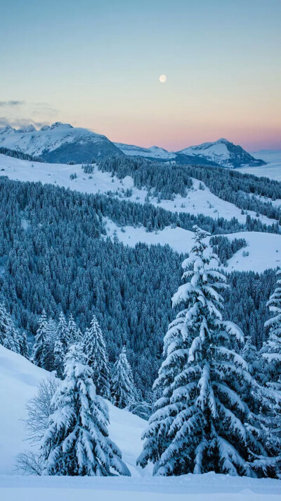 雪景壁纸，温暖寒冬