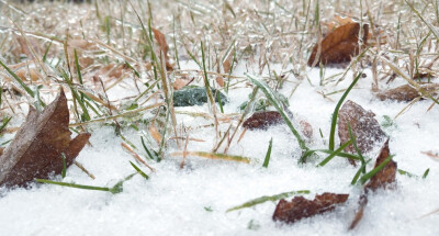 用尽所有幸运遇见你 2018第一场雪