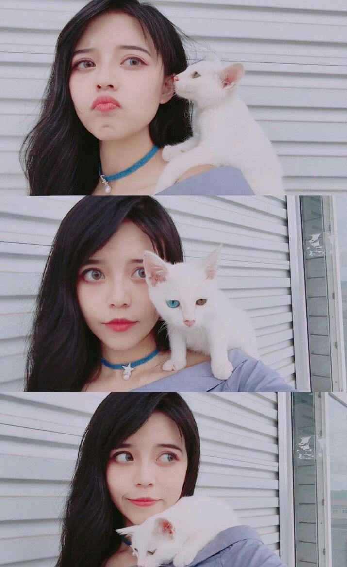 肥瞳