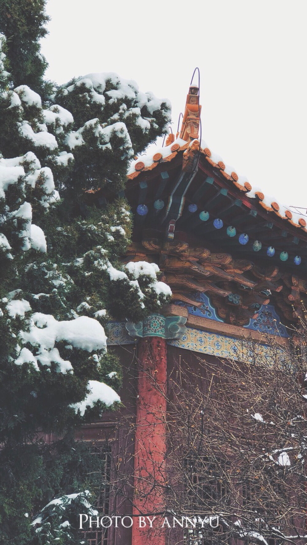 碑林雪景