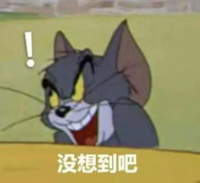 猫和老鼠 汤姆杰瑞小表情包(◍•͈⌔•͈◍)