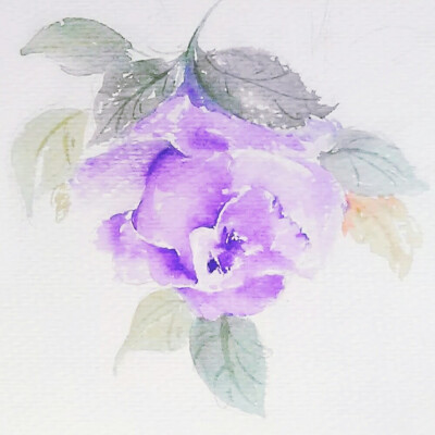 紫色的花【然】