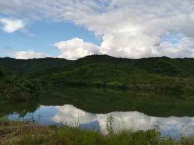 青山绿水