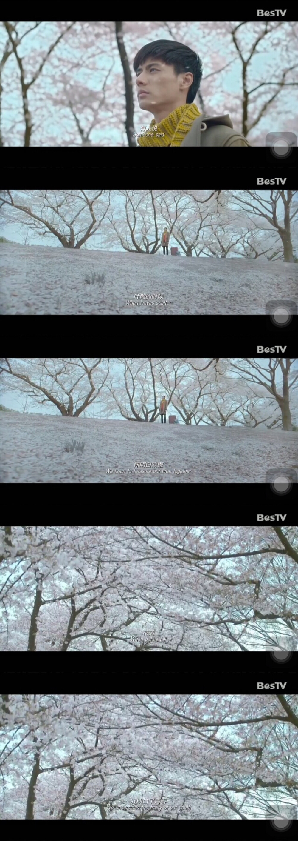 陪安东尼度过的漫长岁月