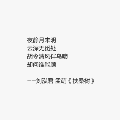 《扶桑树》刘泓君 孟萌