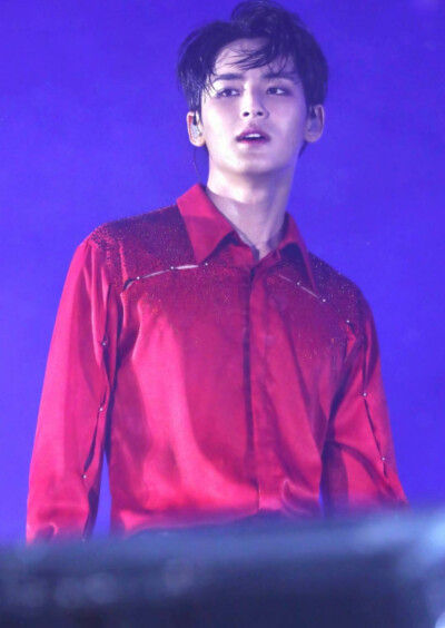 seventeen珉奎
果汁变红酒