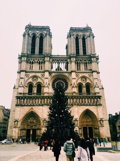 Cathédrale Notre-Dame de Paris 巴黎圣母院