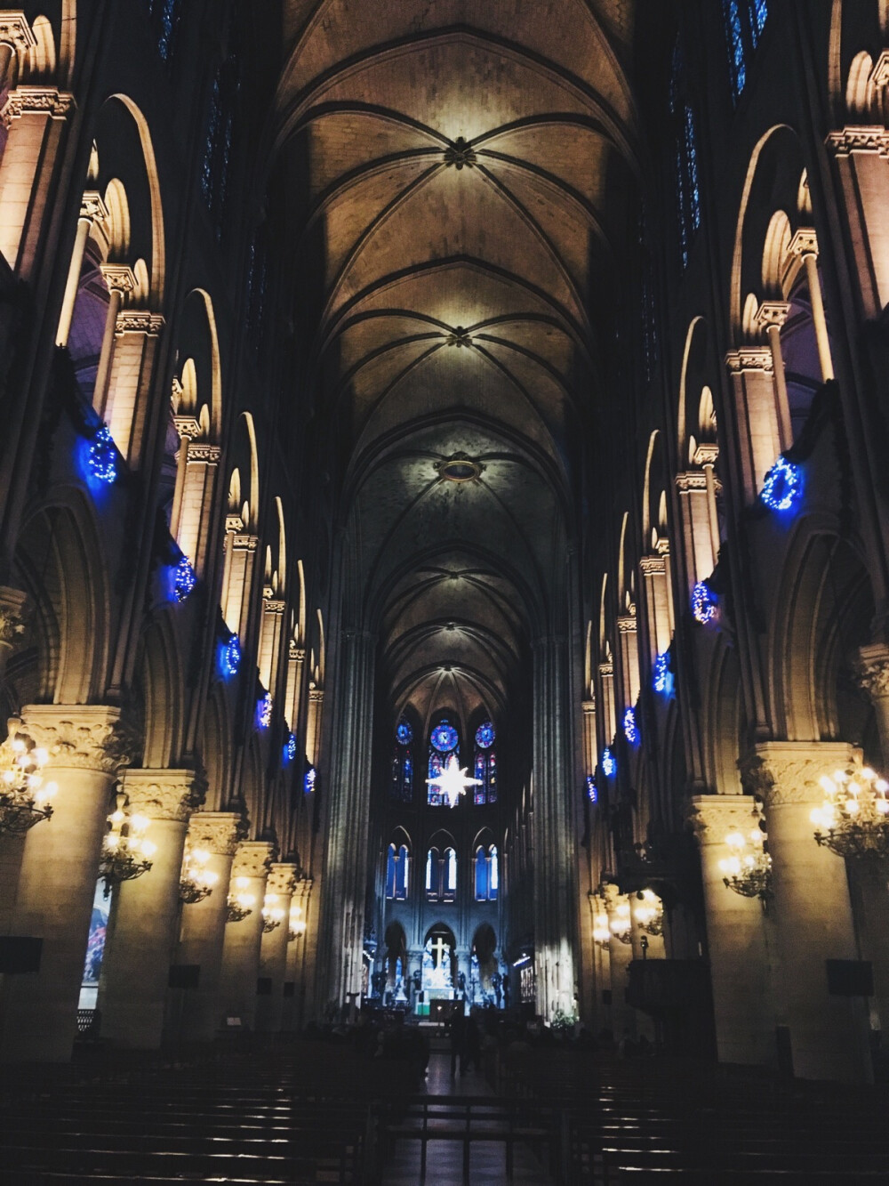 Cathédrale Notre-Dame de Paris 巴黎圣母院