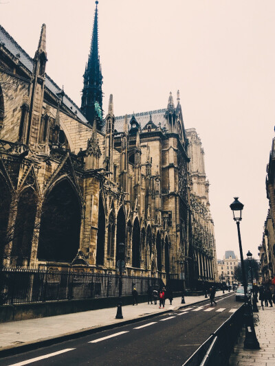 Cathédrale Notre-Dame de Paris 巴黎圣母院