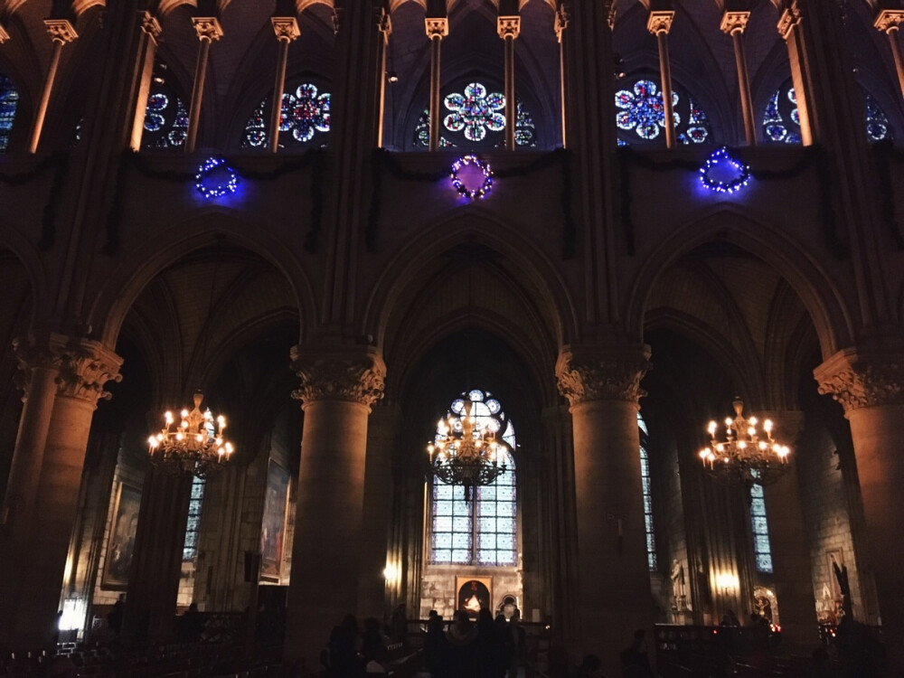 Cathédrale Notre-Dame de Paris 巴黎圣母院