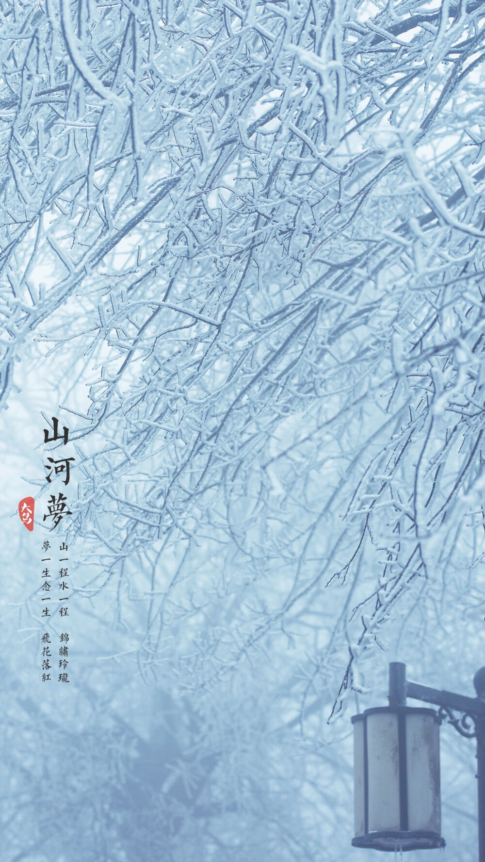 美好的一天，从大鸟原创壁纸开始#我要上首焦#