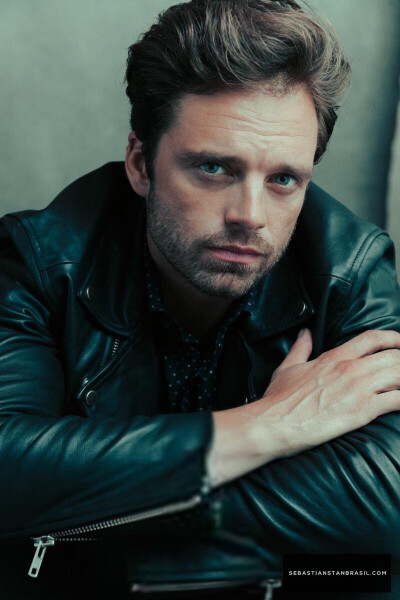 SebastianStan 塞巴斯蒂安斯坦