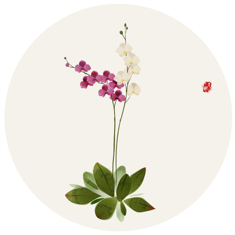 【莳花绘】 作者：无轩