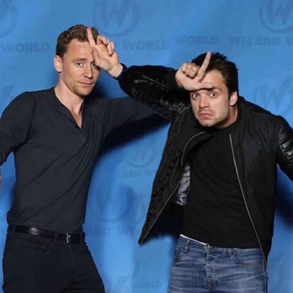 SebastianStan TomHiddleston 抖森还算正经包子咋这么熊的哈哈哈哈哈哈哈爆可爱了