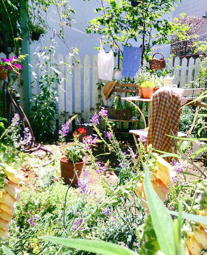 一间可爱的乡间农舍。 搜罗网