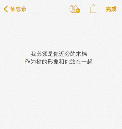 我必须是你近旁的一株木棉 以树的形象和你站在一起