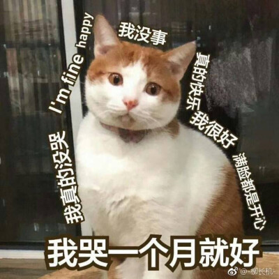 哭唧唧